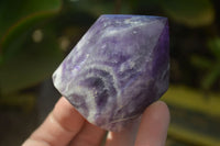 Polished Chevron Amethyst Points x 6 From Zambia