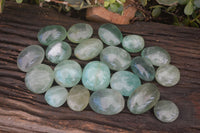 Polished Emerald Fluorite Palm Stones  x 20 From Madagascar