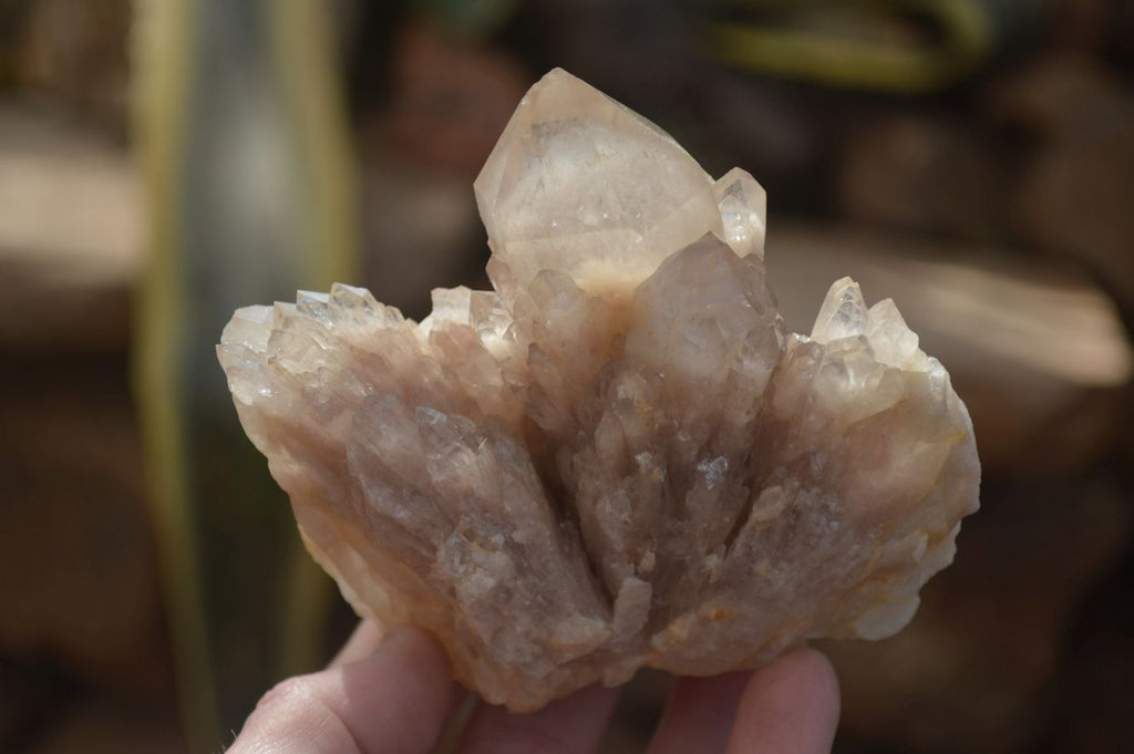 Natural Cascading Smokey Quartz Clusters x 3 From Luena, Congo - Toprock Gemstones and Minerals 