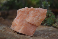 Natural New Sunset Orange Calcite Specimens  x 3 From Spitzkop, Namibia - Toprock Gemstones and Minerals 