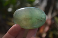 Polished Emerald Fluorite Palm Stones  x 20 From Madagascar