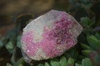 Natural Pink Salrose Cobaltion Dolomite Specimens  x 6 From Kakanda, Congo - Toprock Gemstones and Minerals 