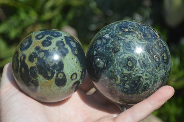 Polished Stromatolite / Kambamba Jasper Spheres  x 2 From Mahajanga, Madagascar