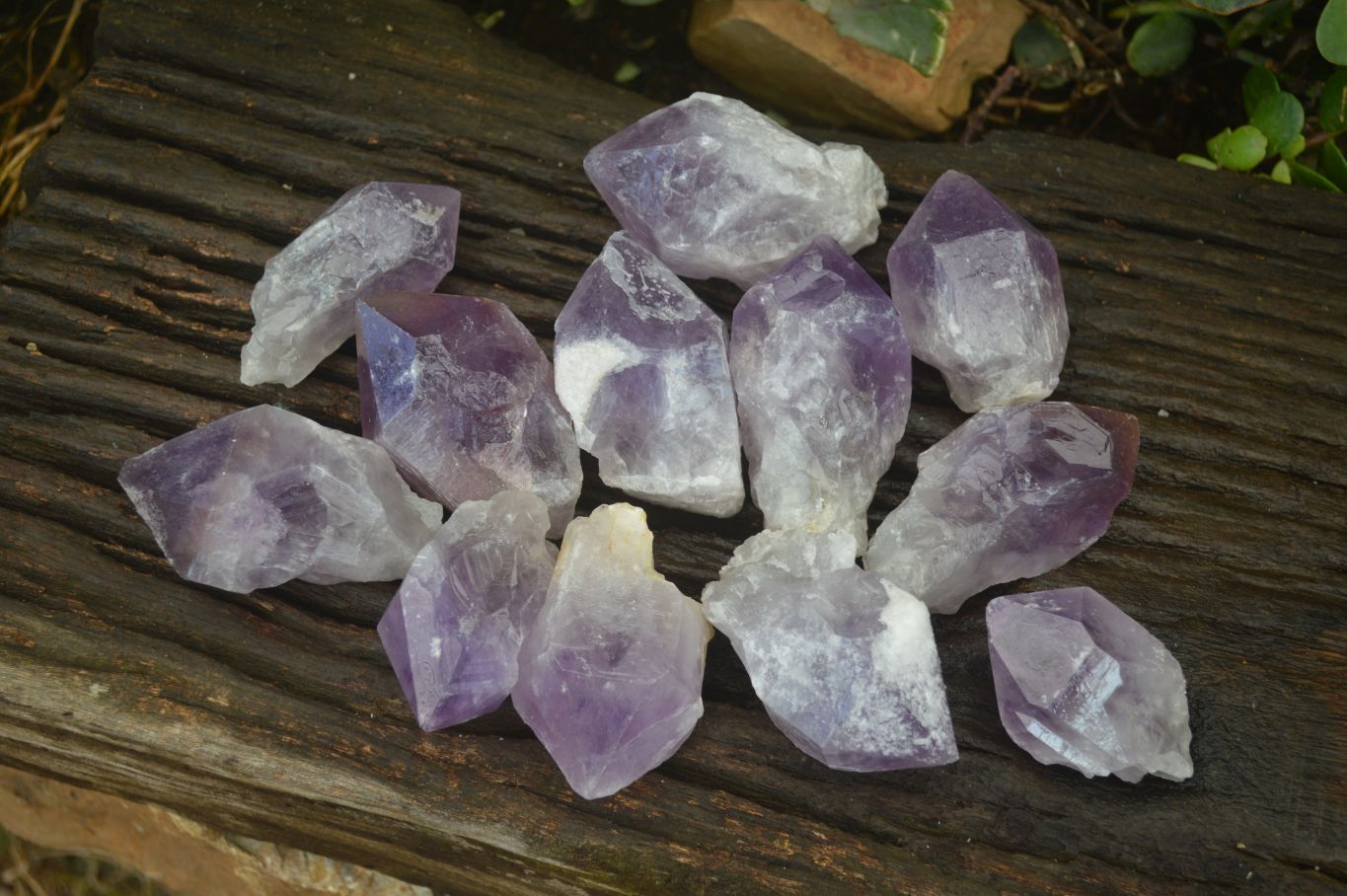 Natural Single Jacaranda Amethyst Crystals x 12 From Mumbwe, Zambia - Toprock Gemstones and Minerals 