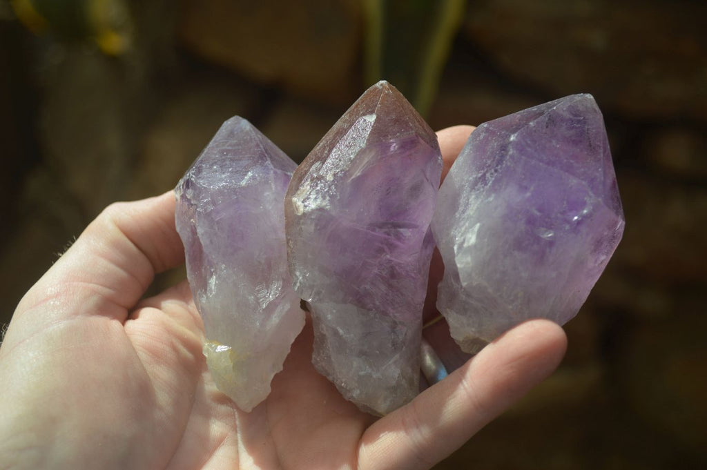 Natural Single Jacaranda Amethyst Crystals x 12 From Mumbwe, Zambia - Toprock Gemstones and Minerals 