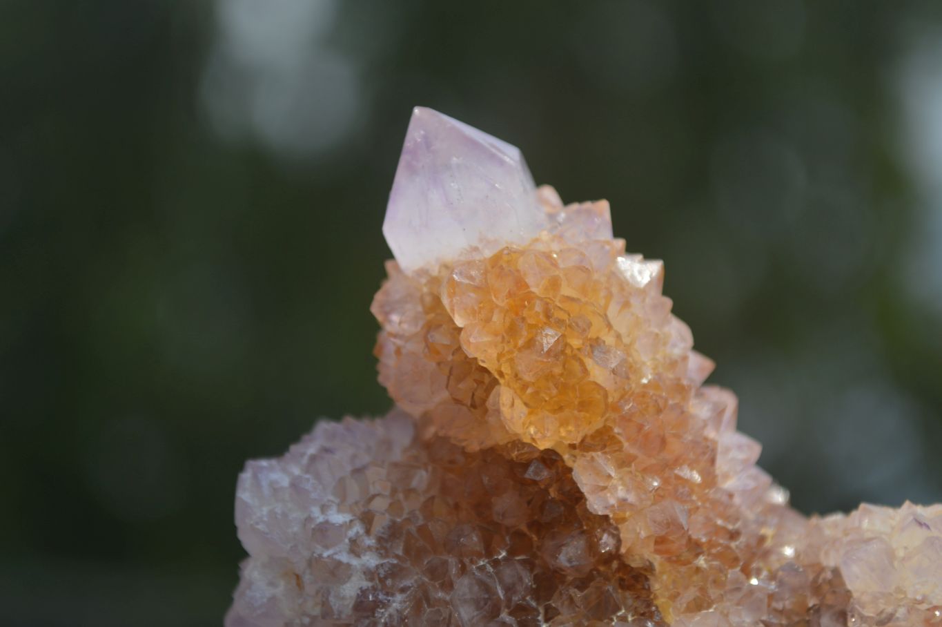 Natural Mixed Spirit Quartz Specimens  x 6 From Boekenhouthoek, South Africa - Toprock Gemstones and Minerals 