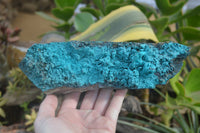 Natural Silica Chrysocolla Specimens x 3 From Kulukuluku, Congo - Toprock Gemstones and Minerals 