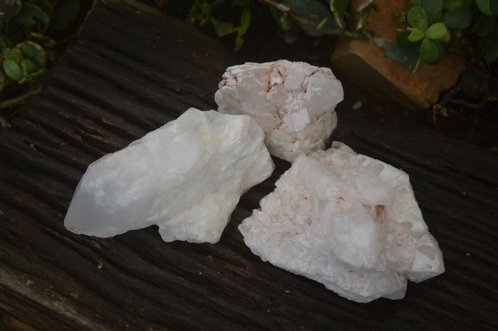 Natural White Candle Quartz Crystals  x 3 From Madagascar - Toprock Gemstones and Minerals 