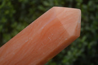 Polished Extra Large Orange Twist Calcite Tower x 1 From Maevantanana, Madagascar - Toprock Gemstones and Minerals 