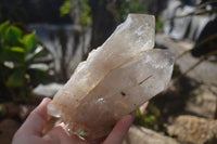 Natural Large Multi Terminated Quartz Crystal Point x 1 From Angola - Toprock Gemstones and Minerals 