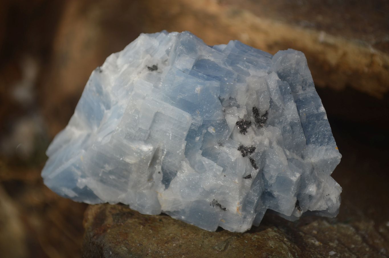 Natural New Sky Blue Calcite Specimens  x 12 From Spitzkop, Namibia - Toprock Gemstones and Minerals 