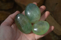 Polished Emerald Fluorite Palm Stones  x 20 From Madagascar