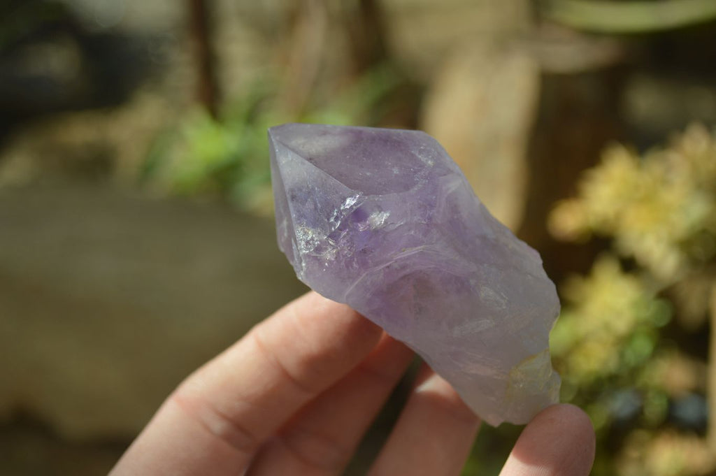 Natural Single Jacaranda Amethyst Crystals x 12 From Mumbwe, Zambia - Toprock Gemstones and Minerals 