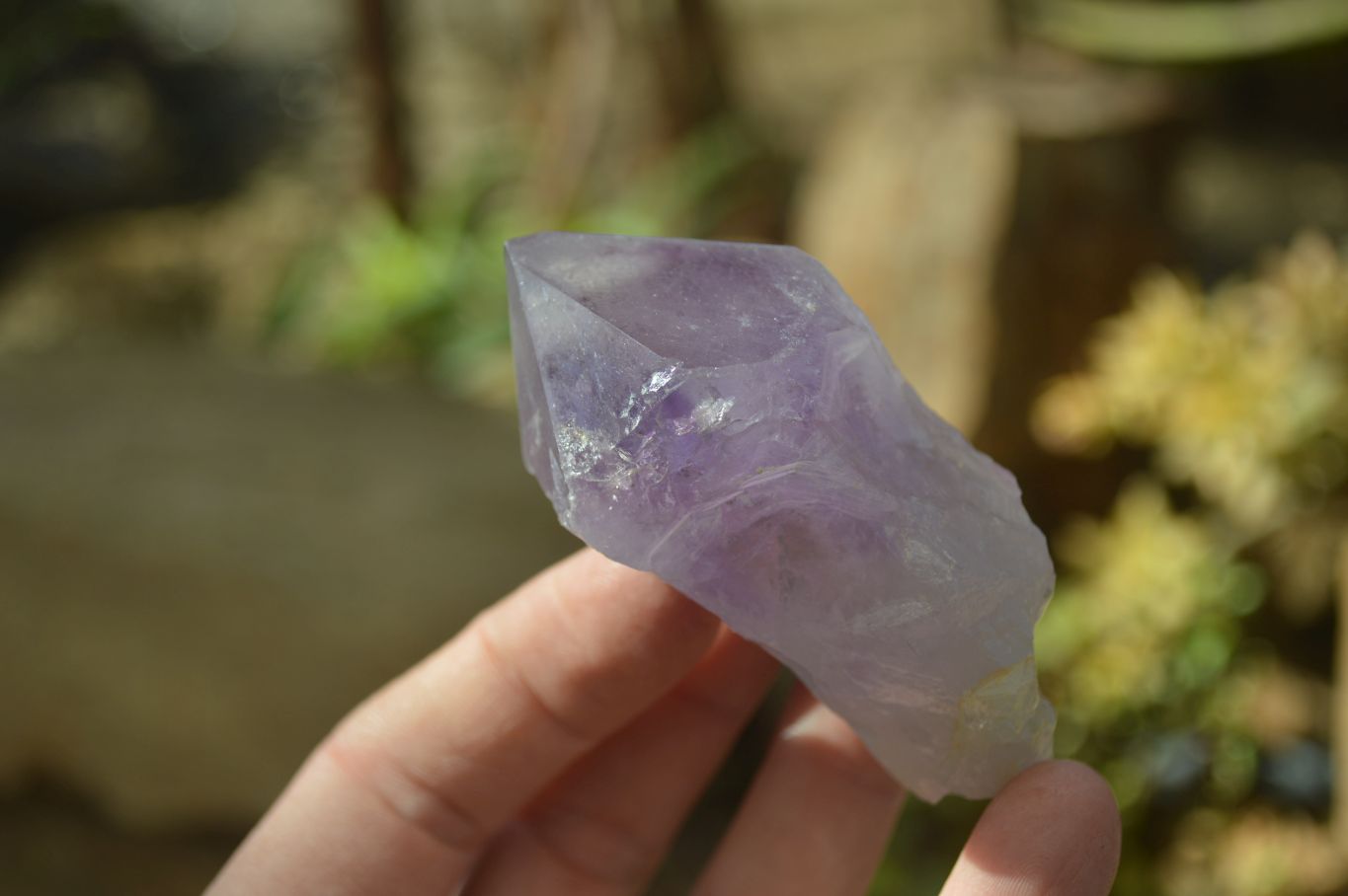 Natural Single Jacaranda Amethyst Crystals x 12 From Mumbwe, Zambia - Toprock Gemstones and Minerals 
