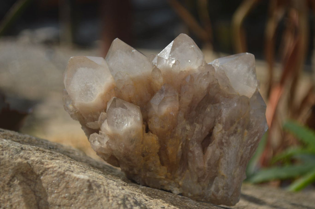 Natural Cascading Smokey Quartz Clusters x 3 From Luena, Congo - Toprock Gemstones and Minerals 