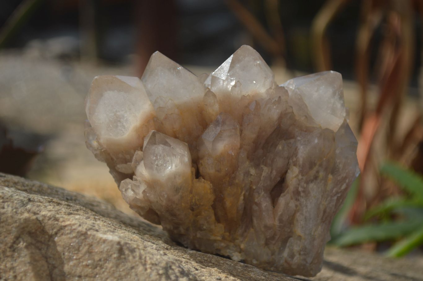Natural Cascading Smokey Quartz Clusters x 3 From Luena, Congo - Toprock Gemstones and Minerals 