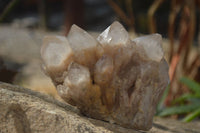 Natural Cascading Smokey Quartz Clusters x 3 From Luena, Congo - Toprock Gemstones and Minerals 