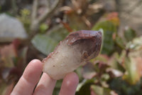 Natural Red Hematoid Quartz Specimens x 12 From Karoi, Zimbabwe - Toprock Gemstones and Minerals 