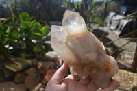 Natural Large Multi Terminated Quartz Crystal Point x 1 From Angola - Toprock Gemstones and Minerals 