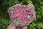 Natural Pink Salrose Cobaltion Dolomite Specimens  x 6 From Kakanda, Congo - Toprock Gemstones and Minerals 