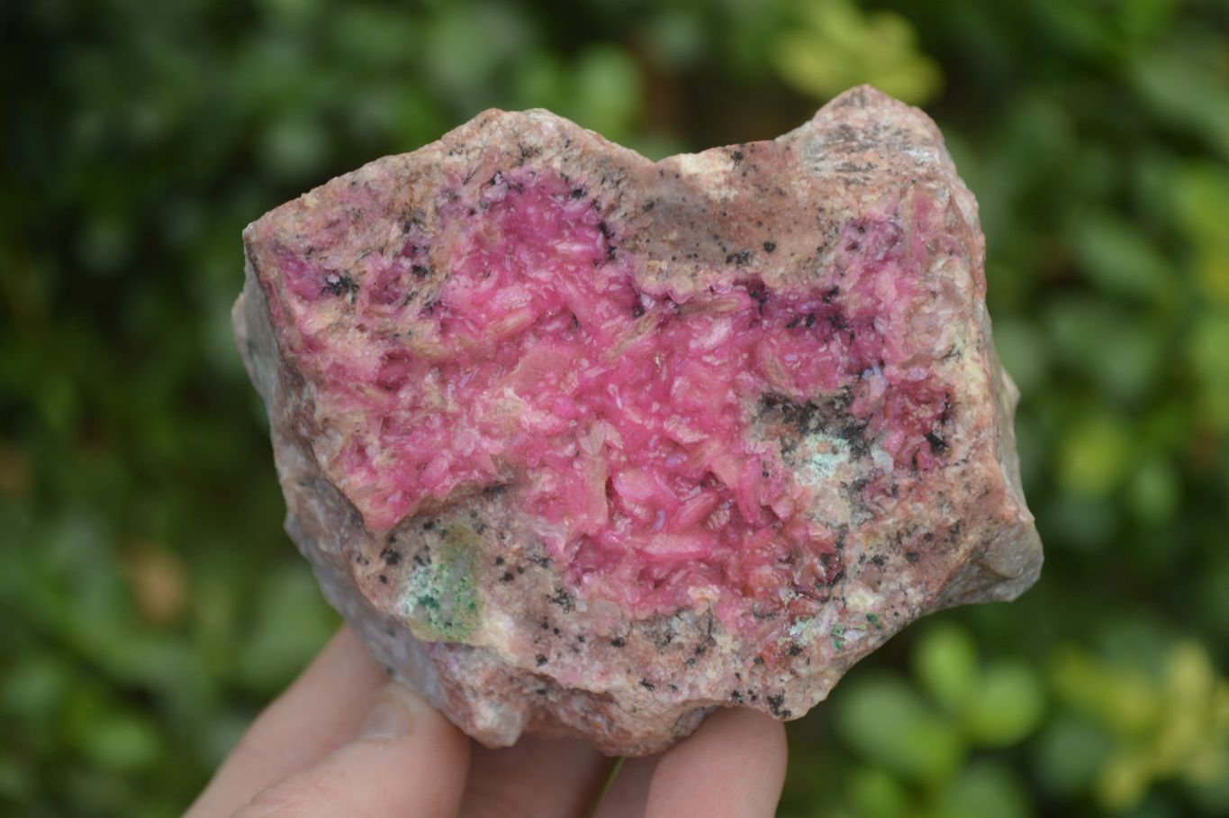 Natural Pink Salrose Cobaltion Dolomite Specimens  x 6 From Kakanda, Congo - Toprock Gemstones and Minerals 