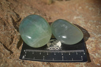 Polished Emerald Fluorite Palm Stones  x 20 From Madagascar