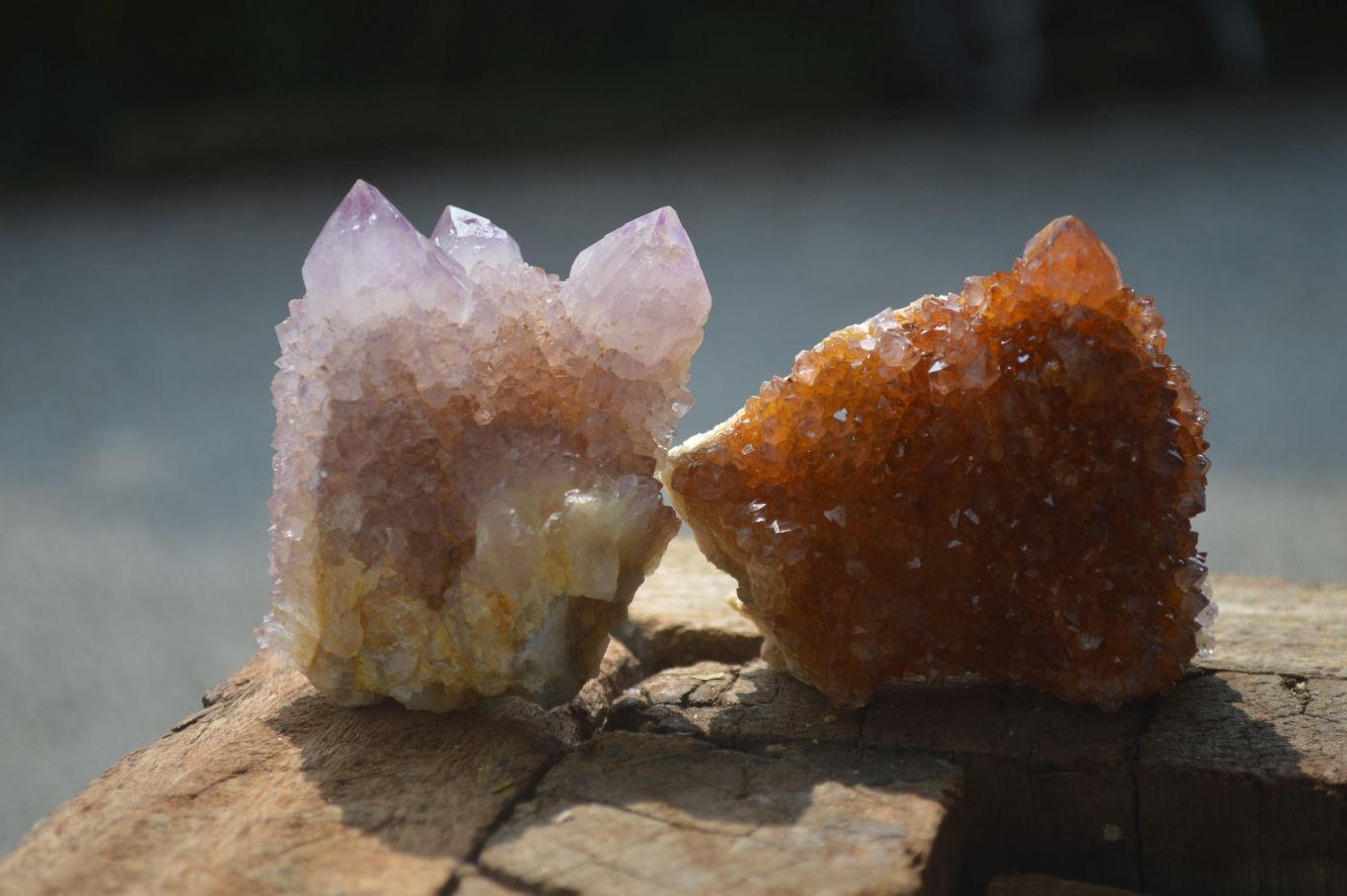 Natural Mixed Spirit Quartz Specimens  x 6 From Boekenhouthoek, South Africa - Toprock Gemstones and Minerals 
