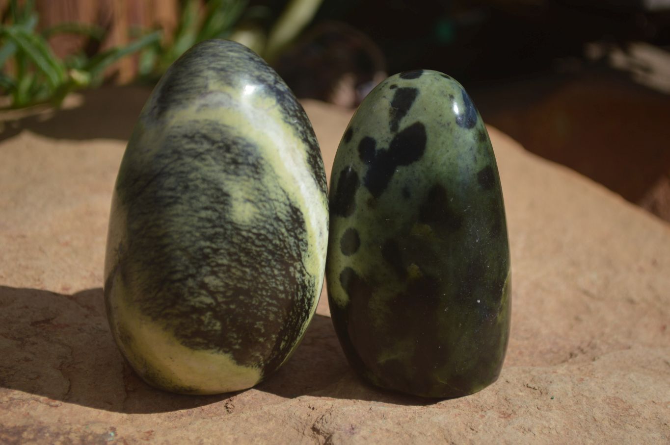 Polished Spotted Leopard Stone Standing Free Forms  x 6 From Zimbabwe - Toprock Gemstones and Minerals 