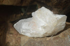 Natural White Candle Quartz Crystals  x 3 From Madagascar - Toprock Gemstones and Minerals 
