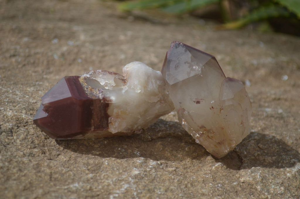 Natural Red Hematoid Quartz Specimens x 12 From Karoi, Zimbabwe - Toprock Gemstones and Minerals 