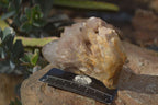 Natural Cascading Smokey Quartz Clusters x 3 From Luena, Congo - Toprock Gemstones and Minerals 