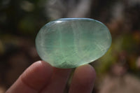Polished Emerald Fluorite Palm Stones  x 20 From Madagascar