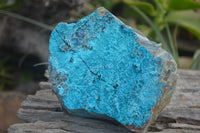 Natural Silica Chrysocolla Specimens x 3 From Kulukuluku, Congo - Toprock Gemstones and Minerals 