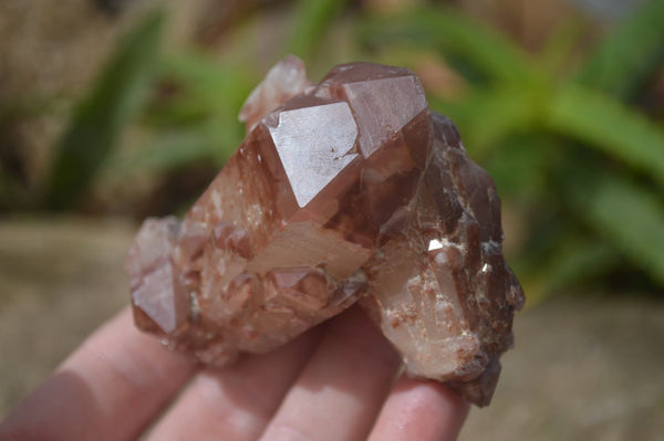 Natural Red Hematoid Quartz Specimens x 12 From Karoi, Zimbabwe - Toprock Gemstones and Minerals 