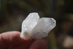 Natural Single Etched Clear Quartz Crystals x 70 From Mpika, Zambia - Toprock Gemstones and Minerals 