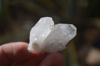 Natural Single Etched Clear Quartz Crystals x 70 From Mpika, Zambia - Toprock Gemstones and Minerals 