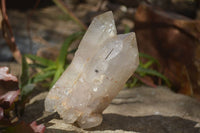 Natural Large Multi Terminated Quartz Crystal Point x 1 From Angola - Toprock Gemstones and Minerals 