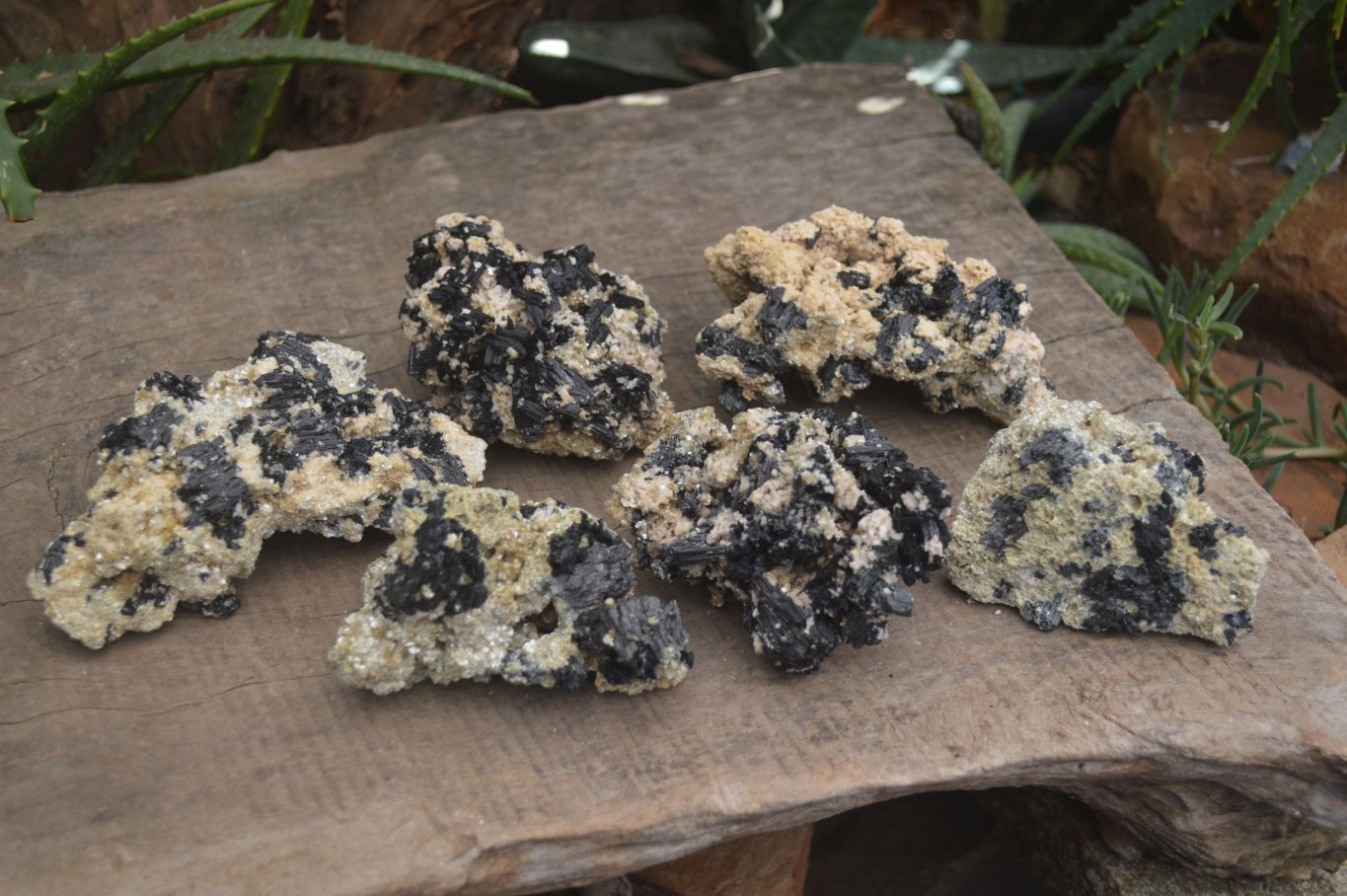 Natural Schorl Black Tourmaline Specimens x 6 From Erongo, Namibia - Toprock Gemstones and Minerals 