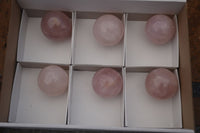 Polished Star Rose Quartz Spheres x 6 From Ambatondrazaka, Madagascar - TopRock