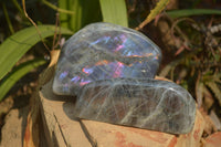 Polished Rare Purple Flash Labradorite Standing Free Forms x 2 From Tulear, Madagascar - Toprock Gemstones and Minerals 