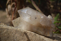 Natural Large Multi Terminated Quartz Crystal Point x 1 From Angola - Toprock Gemstones and Minerals 