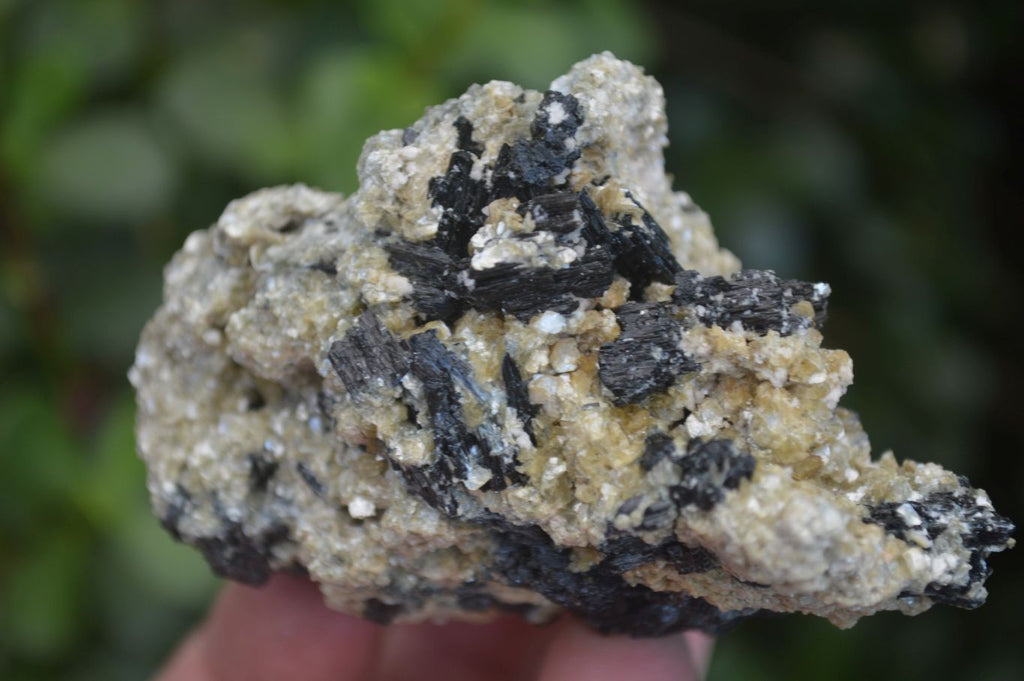 Natural Schorl Black Tourmaline Specimens x 6 From Erongo, Namibia - Toprock Gemstones and Minerals 