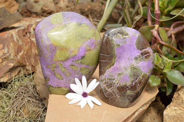Polished Purple Stichtite & Green Serpentine Standing Free Forms  x 2 From Barberton, South Africa - TopRock