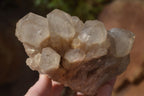 Natural Cascading Smokey Quartz Clusters x 3 From Luena, Congo - Toprock Gemstones and Minerals 