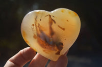 Polished Lovely Mixed Selection Of Agate Hearts  x 6 From Madagascar - Toprock Gemstones and Minerals 