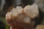 Natural Cascading Smokey Quartz Clusters x 3 From Luena, Congo - Toprock Gemstones and Minerals 