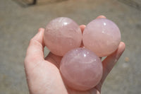 Polished Star Rose Quartz Spheres x 6 From Ambatondrazaka, Madagascar - TopRock