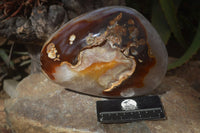 Polished Extra Large Carnelian Crystal Centred Display Piece  x 1 From Madagascar - Toprock Gemstones and Minerals 