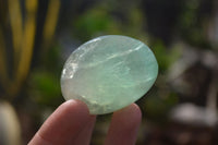 Polished Emerald Fluorite Palm Stones  x 20 From Madagascar