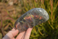 Polished Rare Purple Flash Labradorite Standing Free Forms x 2 From Tulear, Madagascar - Toprock Gemstones and Minerals 
